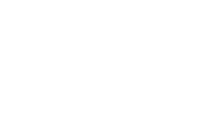 lanxesss